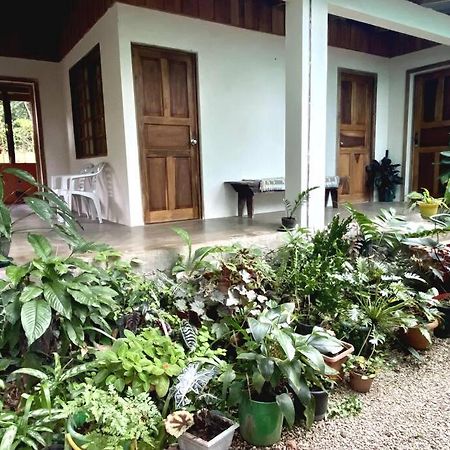 Casa Briza Guest House Nicoya Bagian luar foto