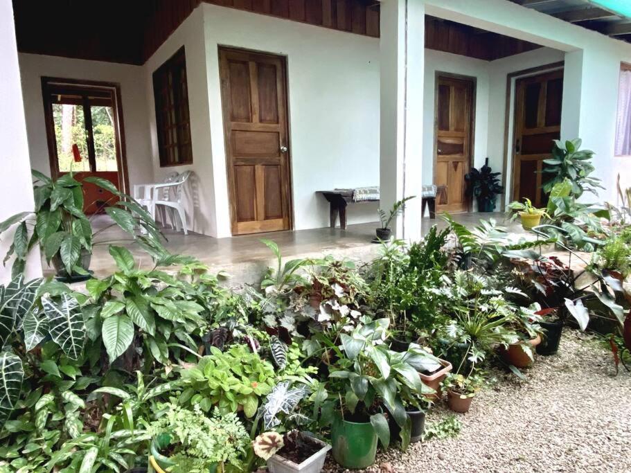 Casa Briza Guest House Nicoya Bagian luar foto