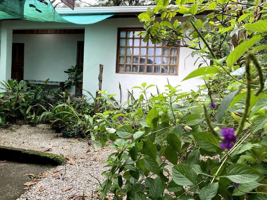 Casa Briza Guest House Nicoya Bagian luar foto