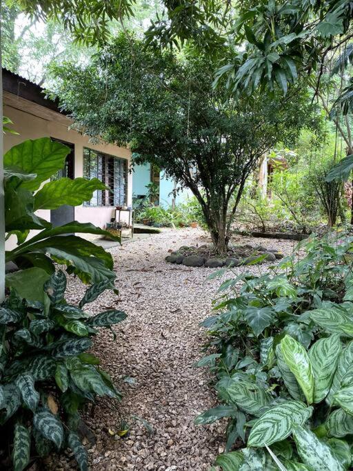 Casa Briza Guest House Nicoya Bagian luar foto